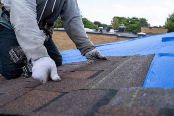 Roof Gutter Cleaning in North Puyallup, WA