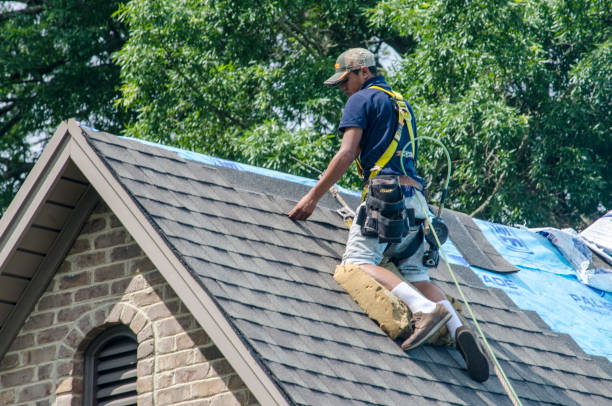 Best Roof Gutter Cleaning  in North Puyallup, WA